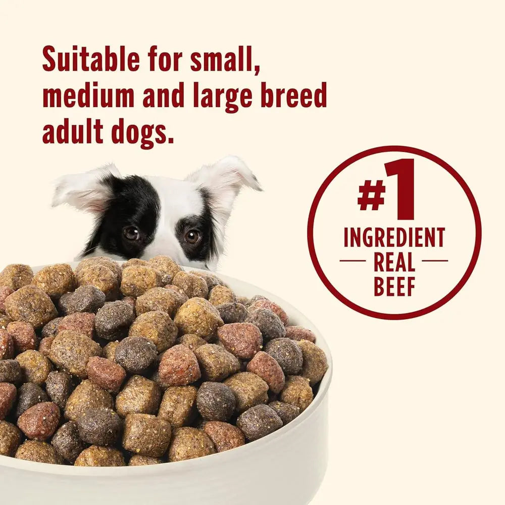 Dry Dog Food, Real Beef, Pea & Brown Rice Recipe Whole Health Blend for Adult Dogs, 40 lb. Bag, Packaging May Vary (Rachael Ray)