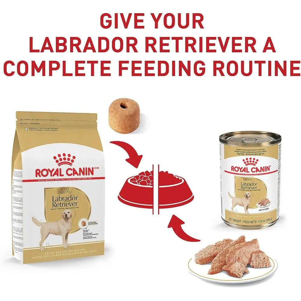 Labrador Retriever Adult Dry Dog Food, 30 lb bag