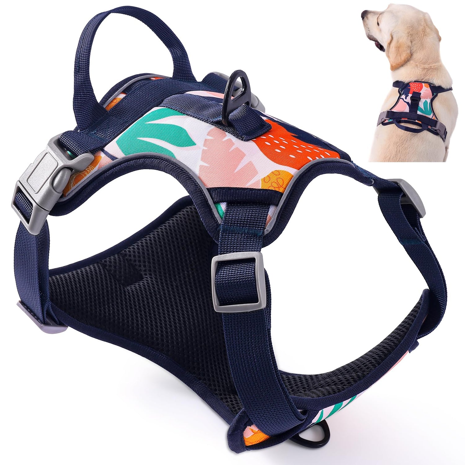 Dog Harness