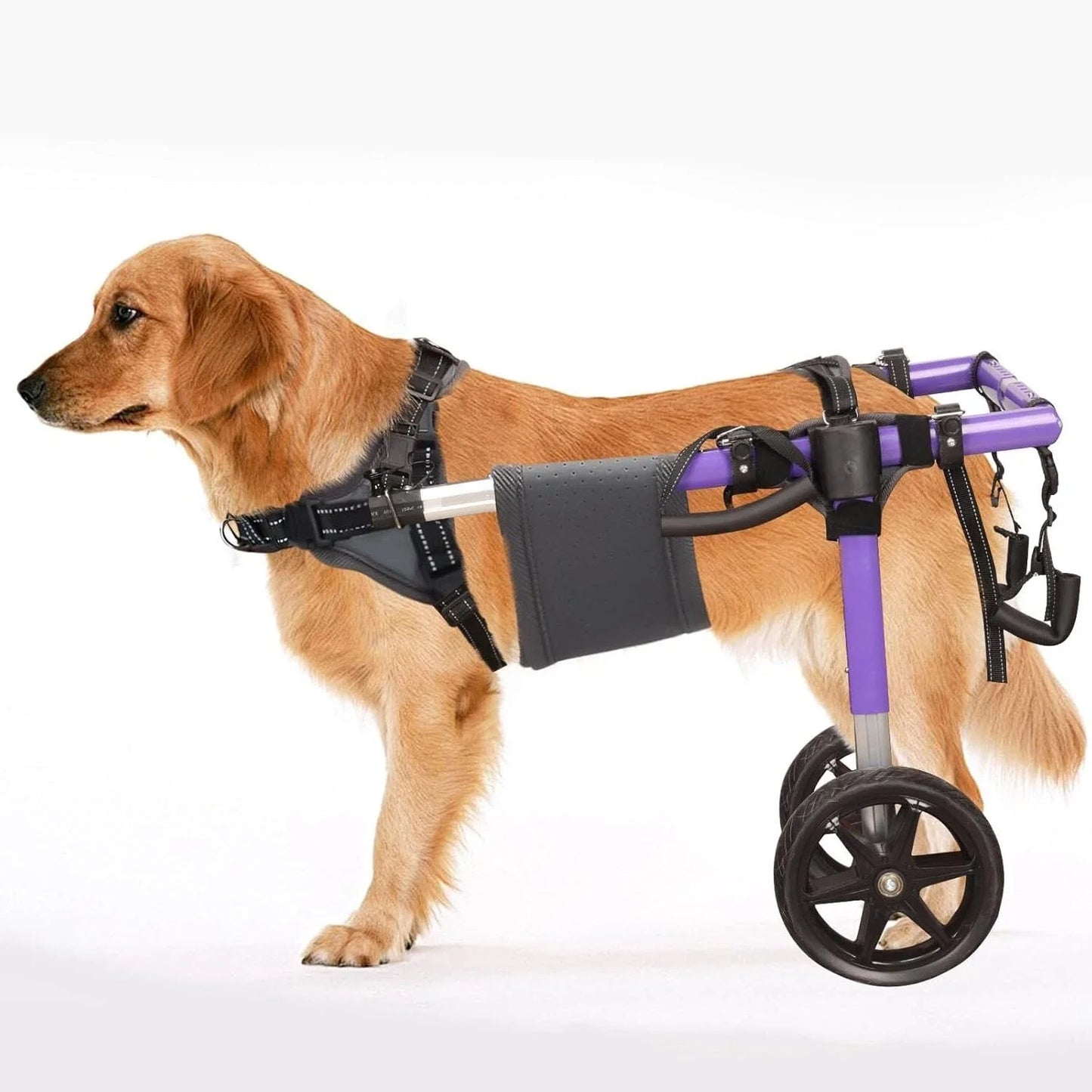 Dog Wheelchair for Back Legs - Lightweight Aluminum Alloy Dog Wheelchair Upgraded All-Terrain Tires for Large Dogs