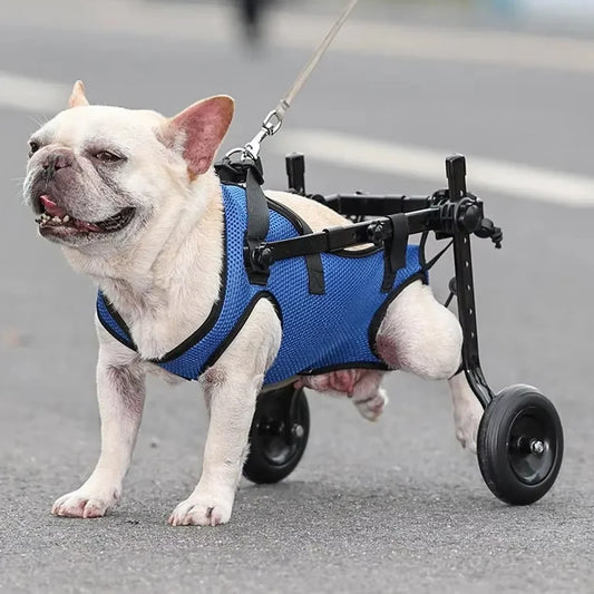 Dog Wheelchair Cart Adjustable Pet Cat Rehabilitation Walking Wheels Aids Mobility Assistance Light Dog Walk Tools