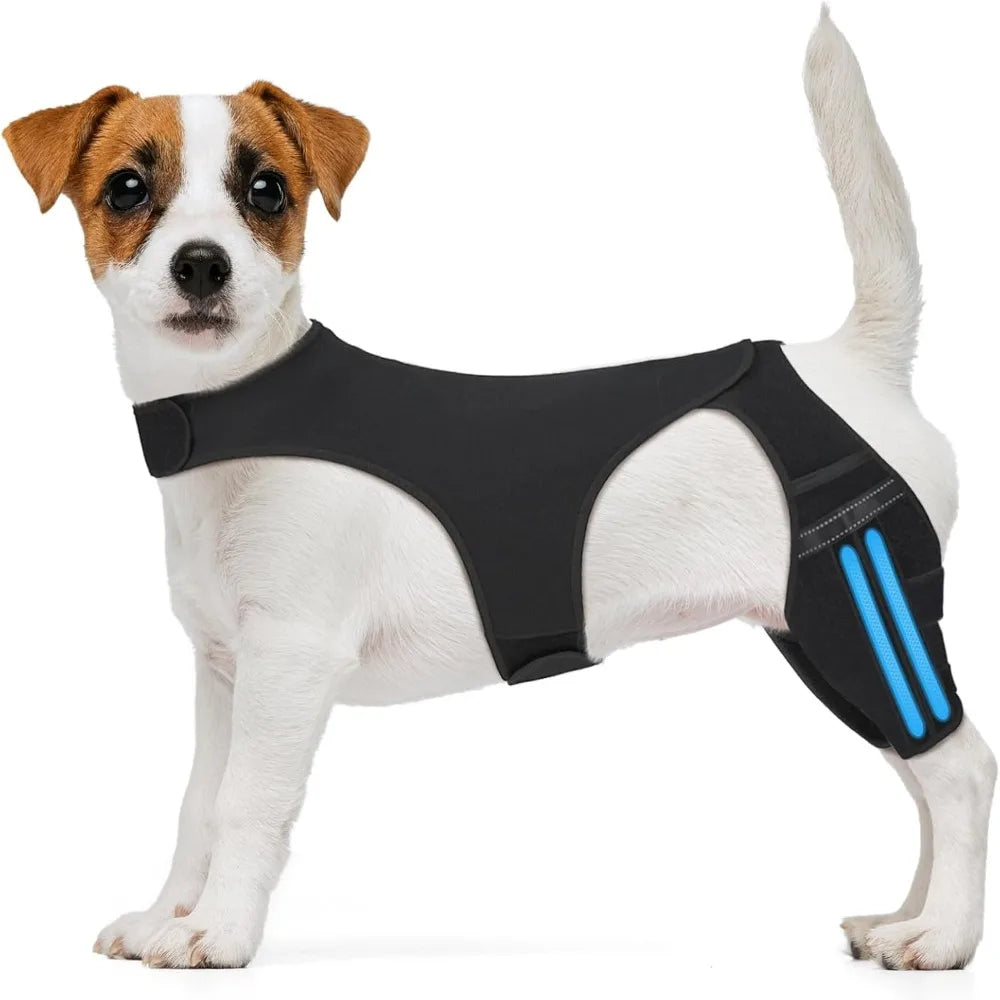 Adjustable Dog Knee Brace Breathable Durable Leg Support Bracket Joint Support Reflective Design Pet Knee Wound Protection