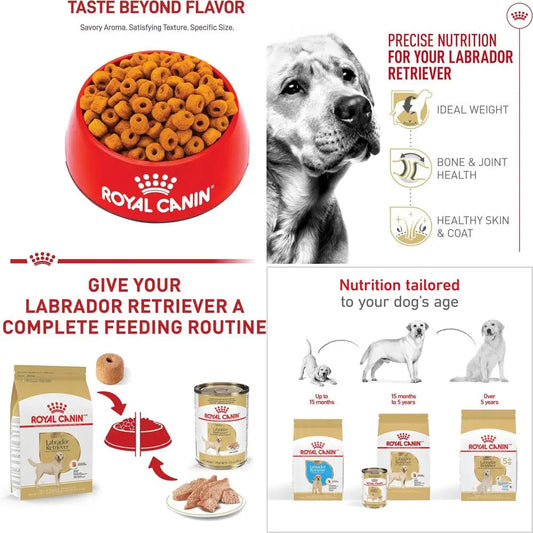 Labrador Retriever Adult Dry Dog Food, 30 lb bag