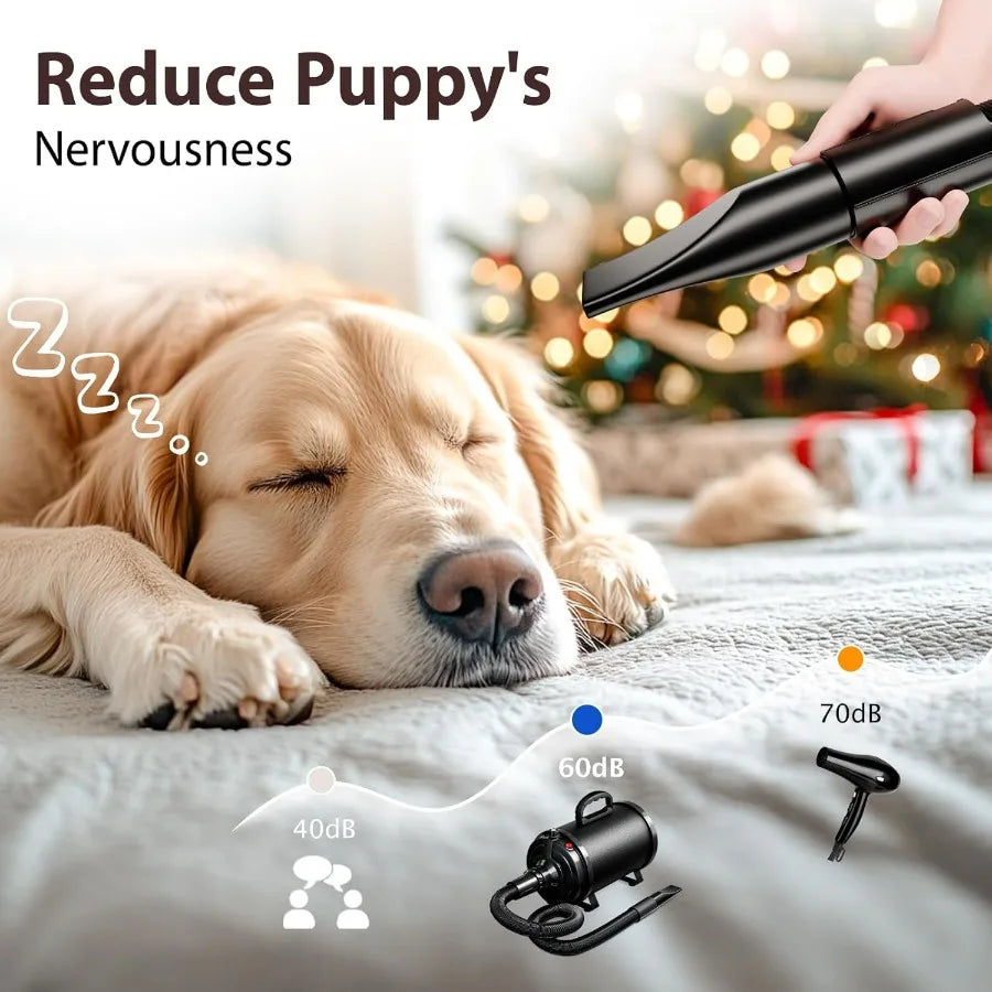 Highvelocity dog dryer pet hair blower for professional grooming with 3800W 5.2HP power stepless speed adjustment 4 interchange