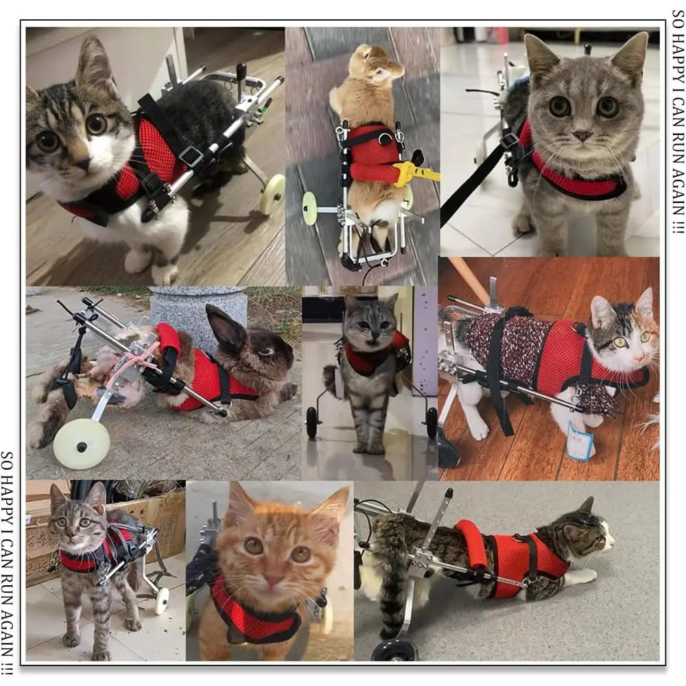Cat Wheelchair, Newly Upgraded Pet Wheelchair, Removable Harness Design, Lightweight Cat Wheelchair for Back Legs of Doggie, Cat
