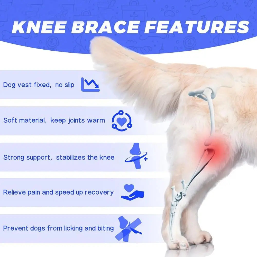 Adjustable Dog Knee Brace Breathable Durable Leg Support Bracket Joint Support Reflective Design Pet Knee Wound Protection