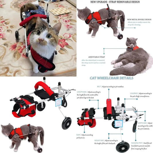 Cat Wheelchair, Newly Upgraded Pet Wheelchair, Removable Harness Design, Lightweight Cat Wheelchair for Back Legs of Doggie, Cat