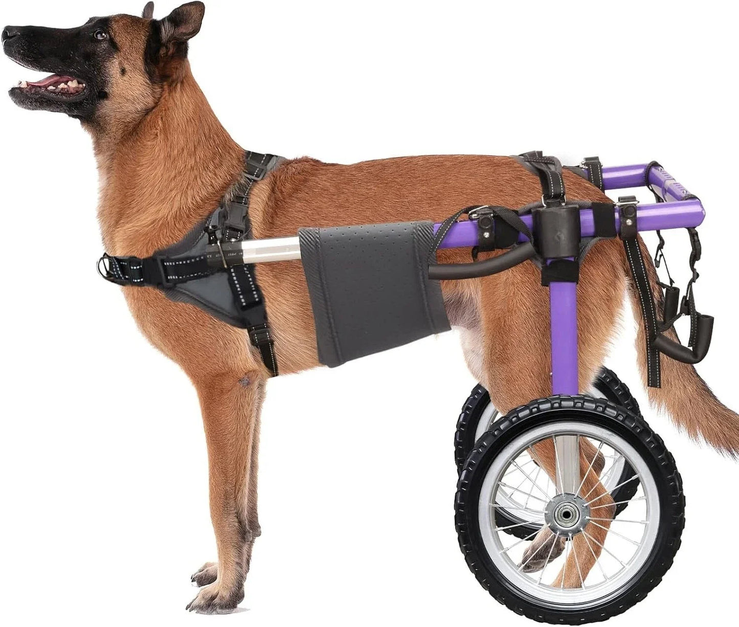 Dog Wheelchair for Back Legs - Lightweight Aluminum Alloy Dog Wheelchair Upgraded All-Terrain Tires for Large Dogs