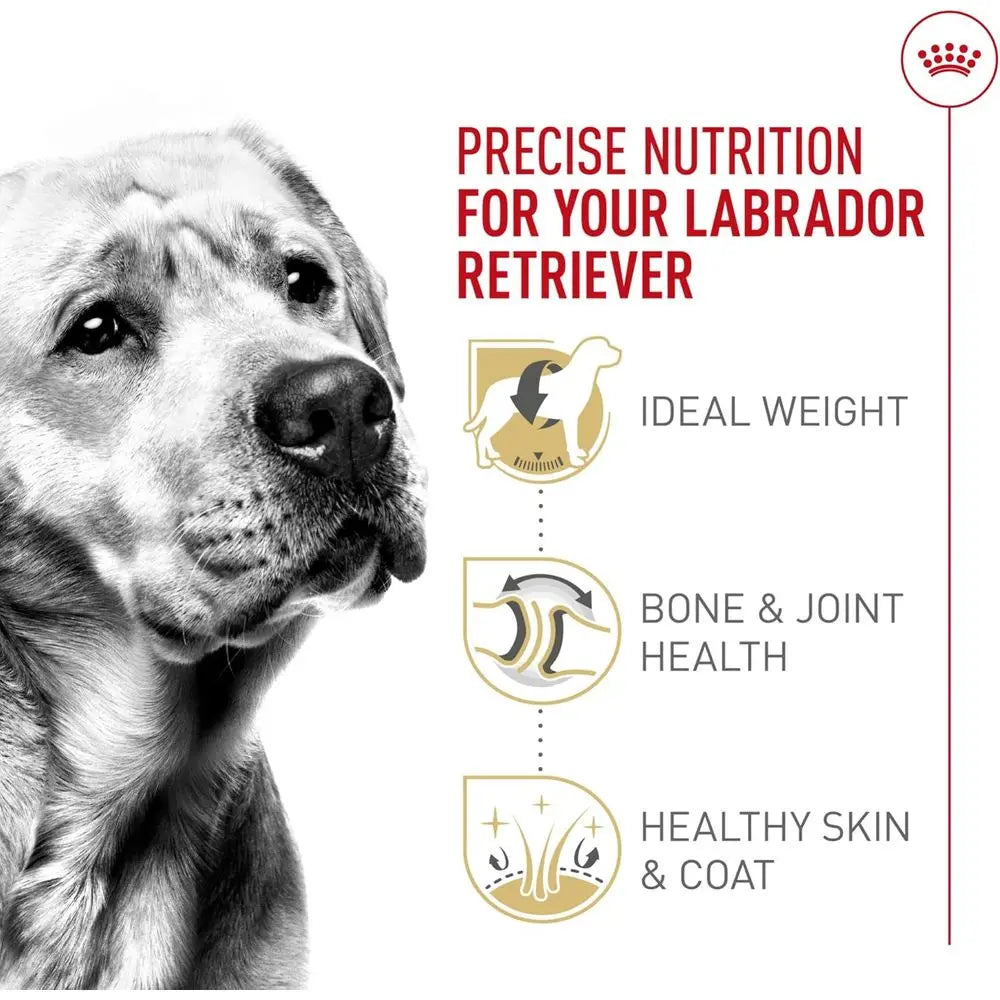 Labrador Retriever Adult Dry Dog Food, 30 lb bag