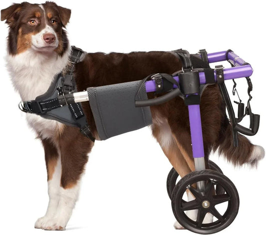 Dog Wheelchair for Back Legs - Lightweight Aluminum Alloy Dog Wheelchair Upgraded All-Terrain Tires for Large Dogs