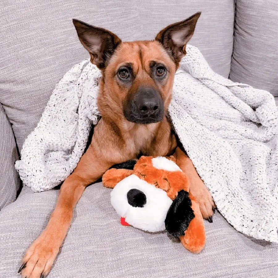 SmartPetLove Original Snuggle Puppy Heartbeat Stuffed Toy for Dogs - Pet Anxiety Relief and Calming Aid - Comfort Toy for Behav