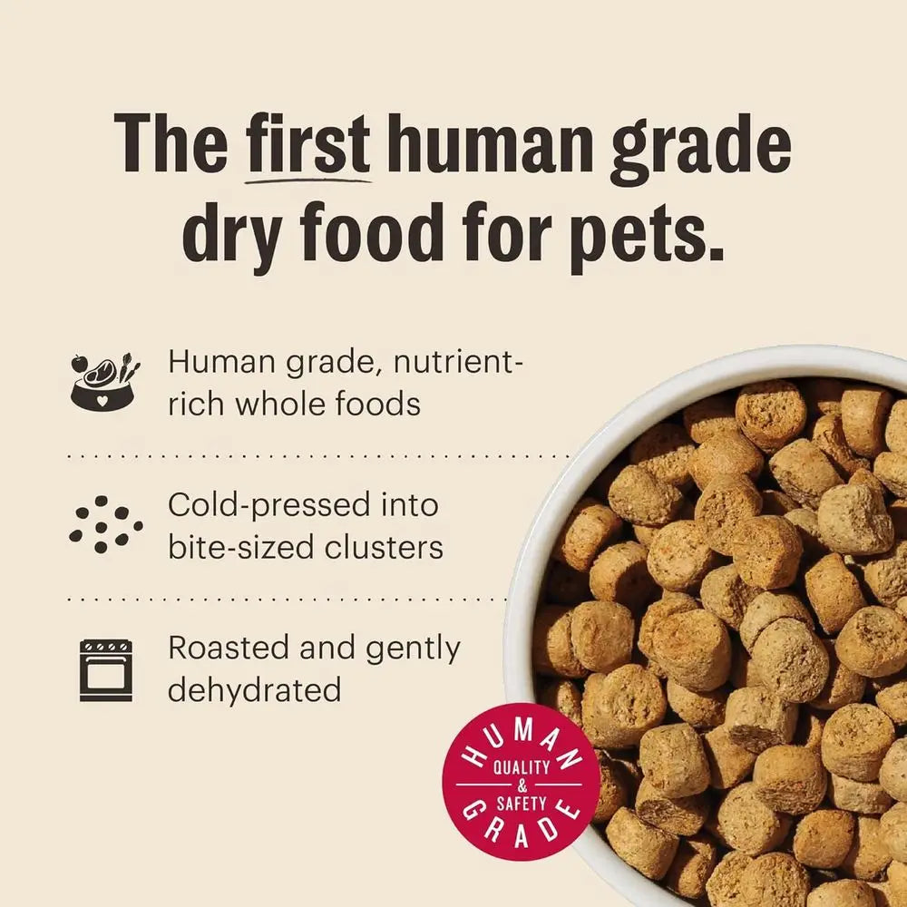 Whole Food Clusters Small Breed Blend Grain Free Dry Dog Food - Chicken, 10 Pound Bag