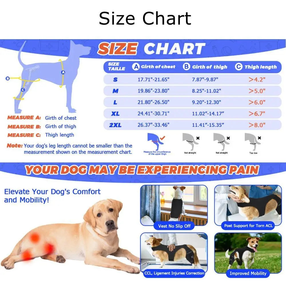 Adjustable Dog Knee Brace Breathable Durable Leg Support Bracket Joint Support Reflective Design Pet Knee Wound Protection