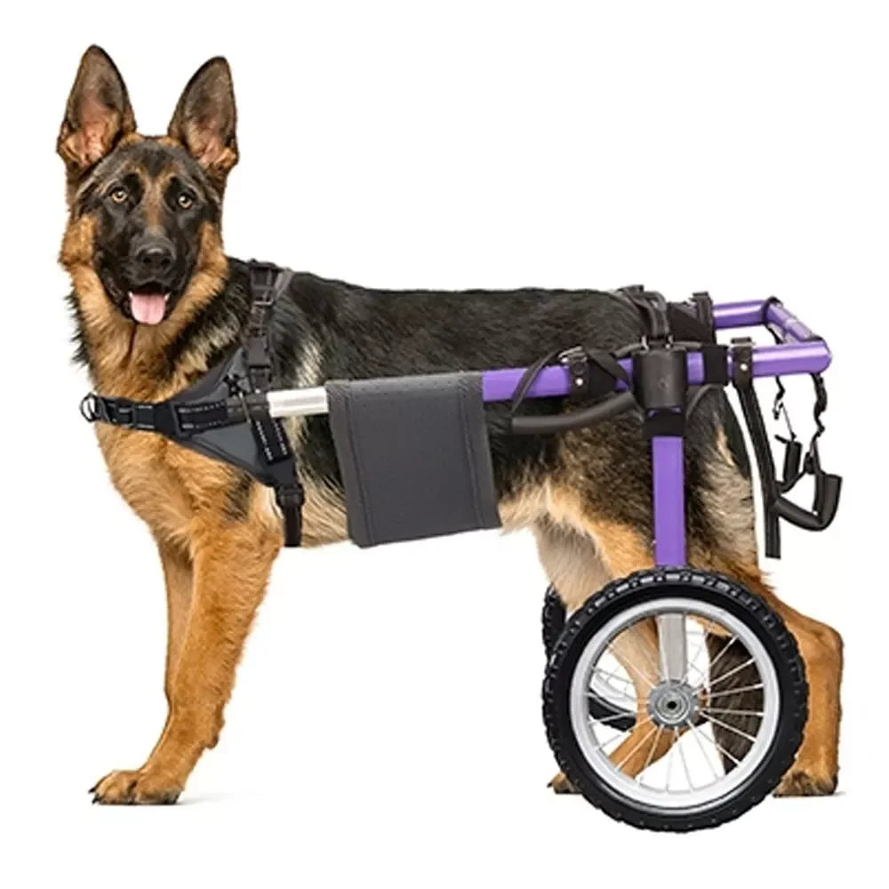 Dog Wheelchair for Back Legs - Lightweight Aluminum Alloy Dog Wheelchair Upgraded All-Terrain Tires for Large Dogs