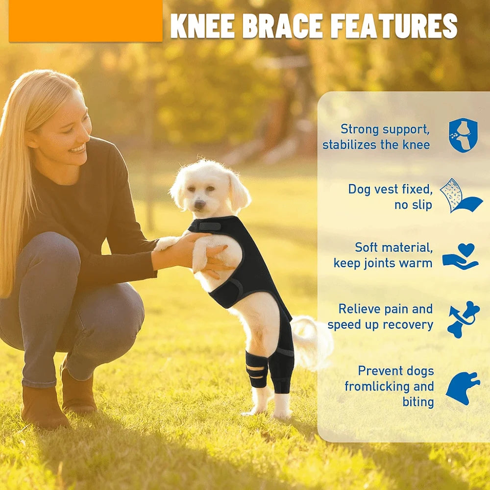 Adjustable Dog Knee Brace Breathable Durable Leg Support Bracket Joint Support Reflective Design Pet Knee Wound Protection