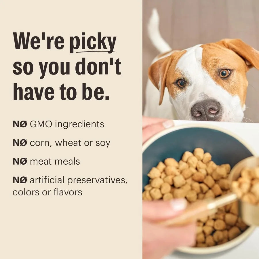 Whole Food Clusters Grain Free Beef Dry Dog Food 20 lb Bag