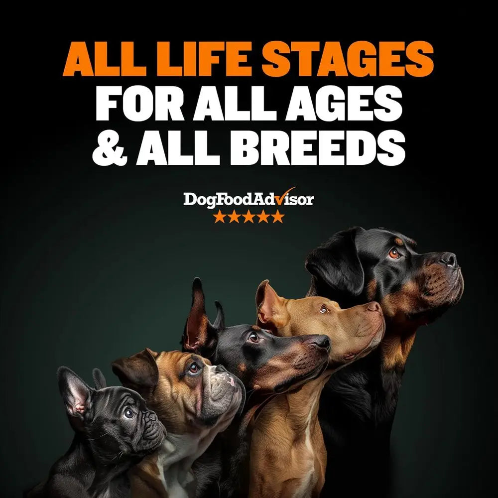High Performance Premium Dry Dog Food for All Ages - High Protein Natural Puppy Food for Small & Large Breed Puppies & Adult Dog