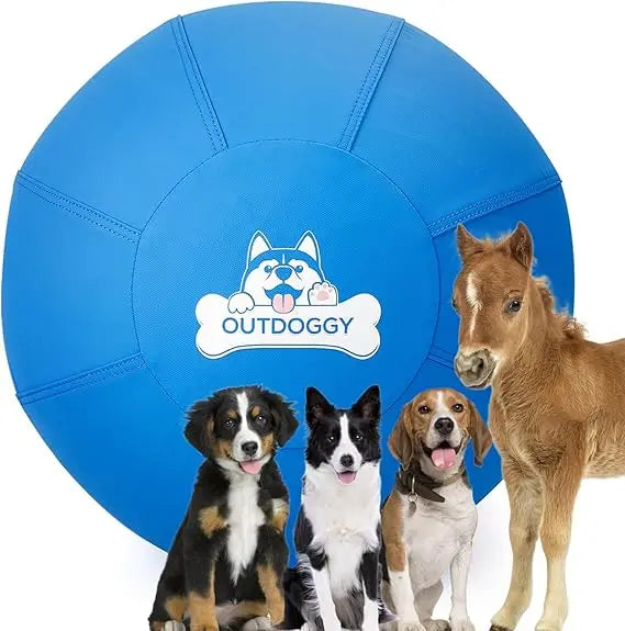 Heavy-Duty Dual-Layer Herding Ball, 22 Inch for Australian Shepherds, Border Collies, and Cattle Dogs - Ideal for Active Play an