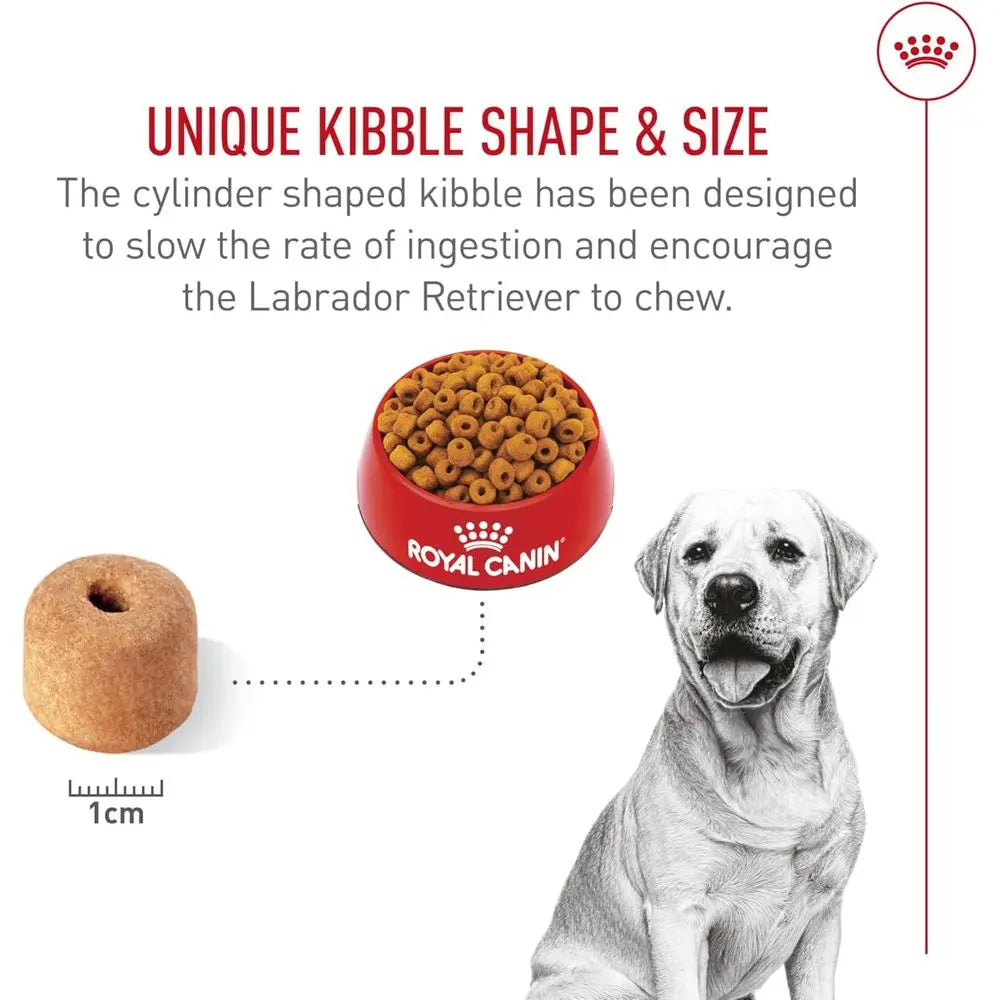 Labrador Retriever Adult Dry Dog Food, 30 lb bag